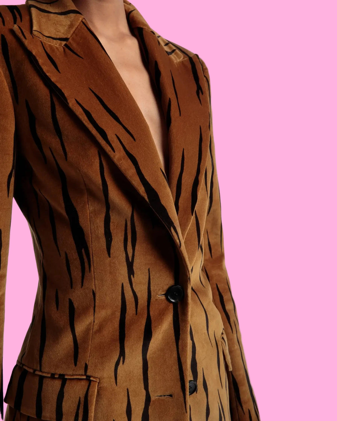 Velvet Tiger Print Blazer and Pants